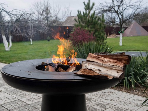 Стейк зі свинини на мангалі