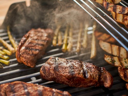 фото 1 Газовый гриль WEBER SPIRIT E-225 GBS