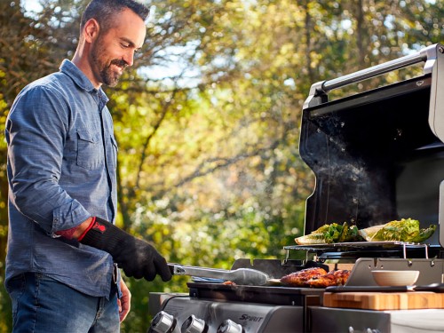 фото 1 Газовый гриль WEBER SPIRIT E-315 GBS