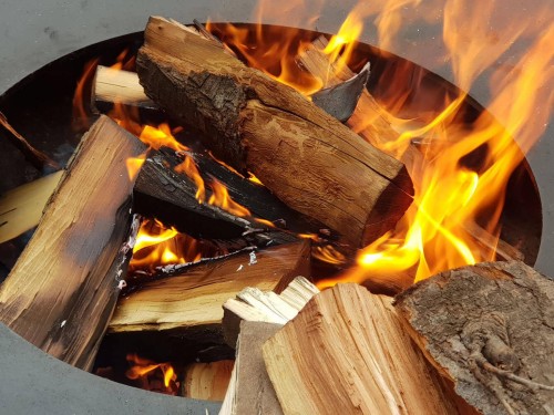 Каре ягненка на мангале