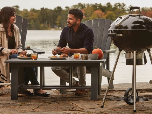 фото 1 Угольный гриль NAPOLEON RODEO