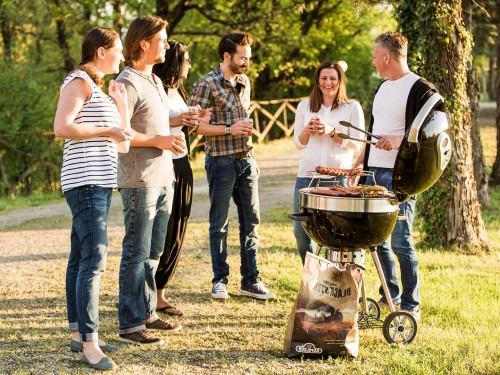 фото 1 Угольный гриль NAPOLEON RODEO PRO фото 1 Угольный гриль NAPOLEON RODEO PRO