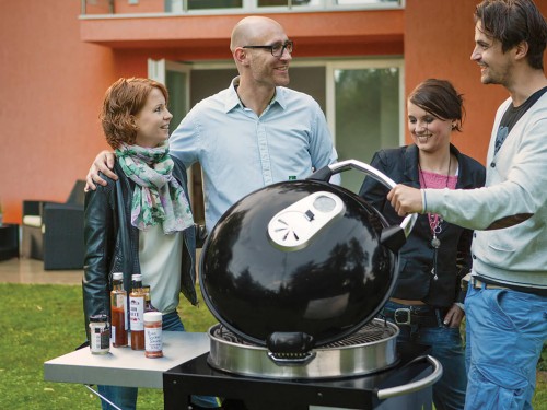 фото 1 Вугільний гриль зі столиком NAPOLEON RODEO CART