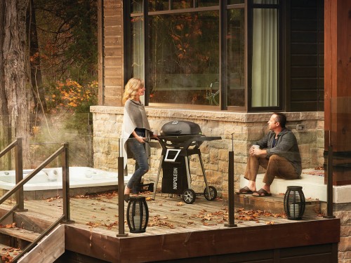 фото 1 Електричний гриль Napoleon TravelQ PRO285E на підставці