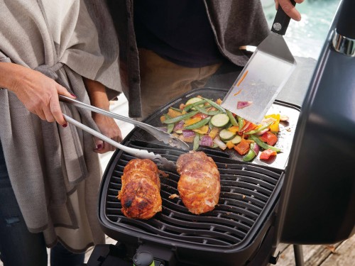 фото 2 Електричний гриль Napoleon TravelQ PRO285E на підставці