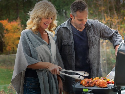 фото 1 Електричний гриль Napoleon TravelQ PRO285E