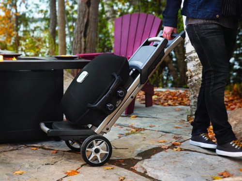 фото 1 Портативный газовый гриль NAPOLEON TRAVELQ 285X