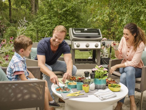 фото 2 Газовый гриль WEBER SPIRIT II E-320 GBS