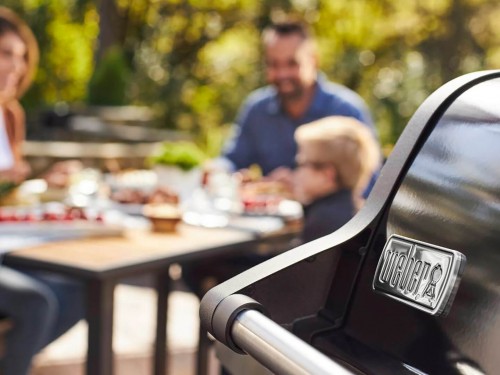 фото 1 Газовый гриль WEBER SPIRIT E-215 GBS