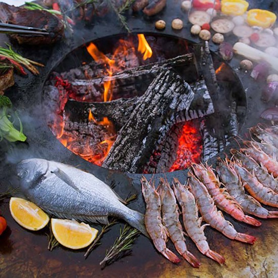 фото 7 Гриль мангал AHOS BIG  