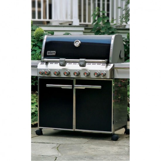 фото Газовый гриль WEBER SUMMIT E-670 GBS