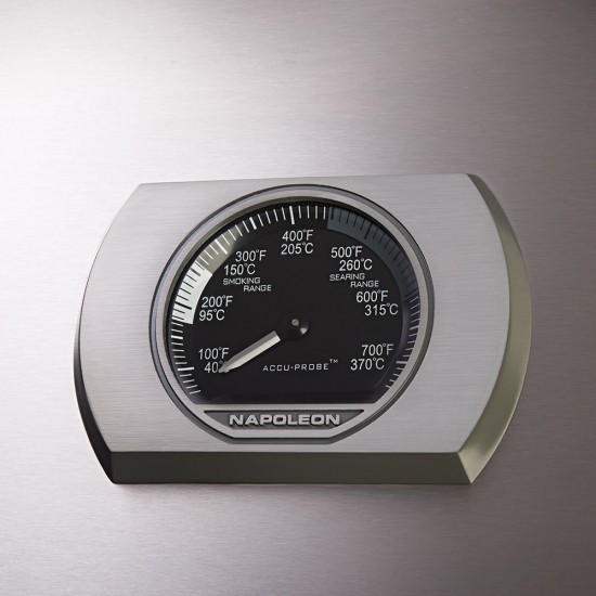 фото 4 Газовый гриль NAPOLEON ROGUE SE 625