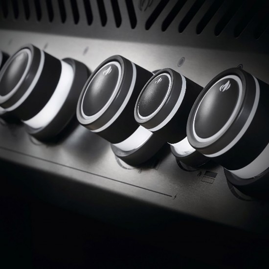 фото 5 Газовий гриль NAPOLEON ROGUE XT 625