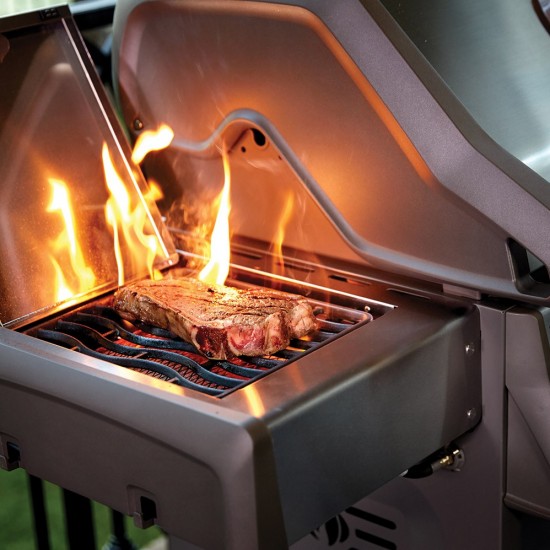 фото 8 Газовый гриль NAPOLEON ROGUE SE 625