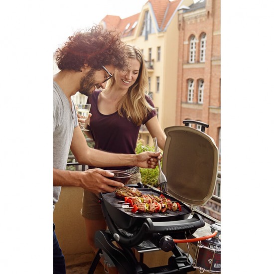 фото Портативний газовий гриль WEBER Q1000