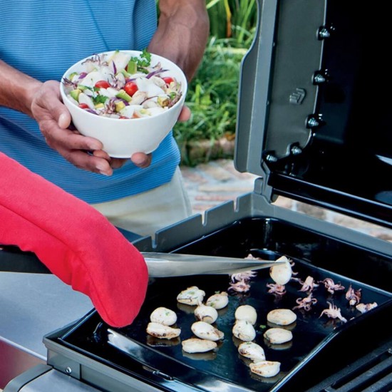 фото 2 Деко чавунне для газових грилей WEBER SPIRIT 300