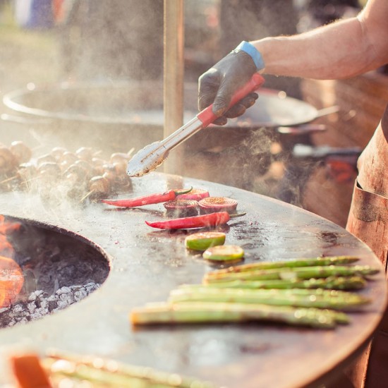 фото 6 Гриль мангал AHOS BIG  