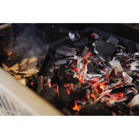 фото 2 Чавунний піддон для використання вугілля на газових грилях NAPOLEON фото 2 Чавунний піддон для використання вугілля на газових грилях NAPOLEON