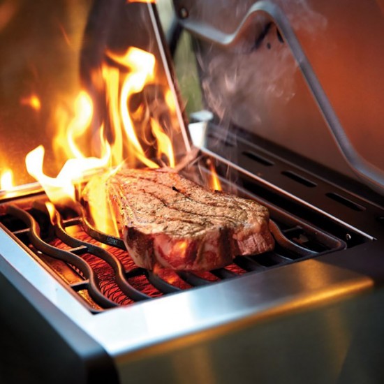 фото 6 Газовий гриль NAPOLEON ROGUE XT 625