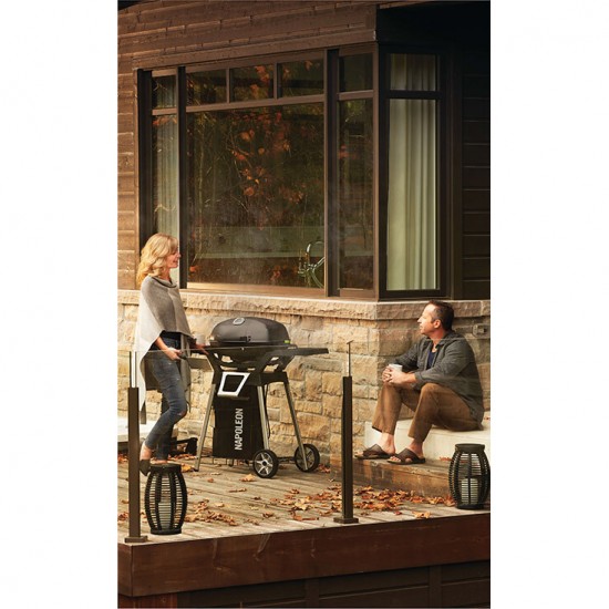 фото Електричний гриль Napoleon TravelQ PRO285E на підставці
