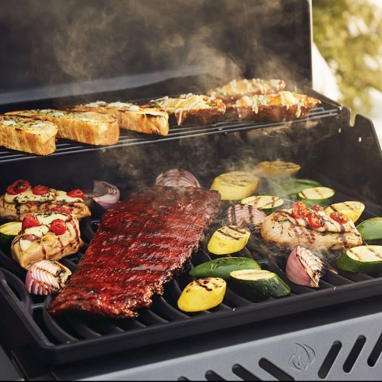 фото 5 Газовий гриль NAPOLEON FREESTYLE 365 PGT