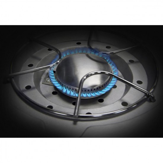 фото 3 Газовый гриль NAPOLEON ROGUE 365