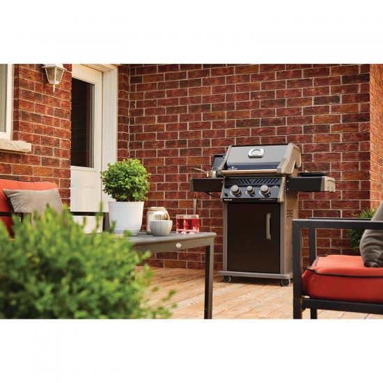 фото 6 Газовый гриль NAPOLEON ROGUE 365