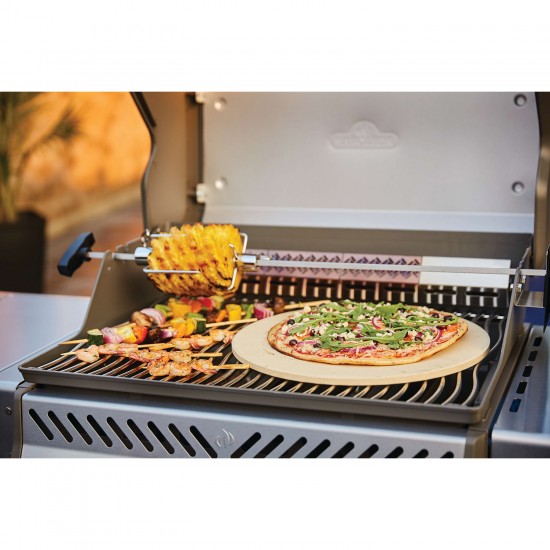 фото 18 Газовий гриль NAPOLEON ROGUE SE 425