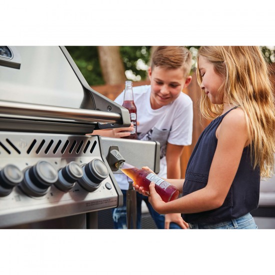 фото 19 Газовий гриль NAPOLEON ROGUE SE 425