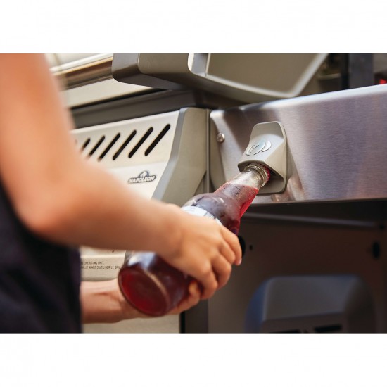 фото 20 Газовий гриль NAPOLEON ROGUE SE 425