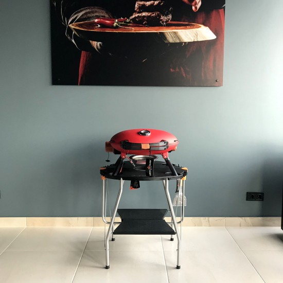 фото 20 Газовый гриль O-GRILL 700T RED фото 20 Газовый гриль O-GRILL 700T RED