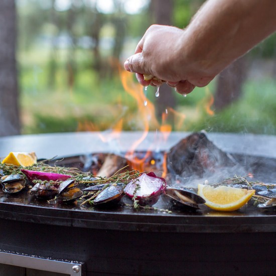 фото 13 Гриль мангал AHOS INSPIRATION