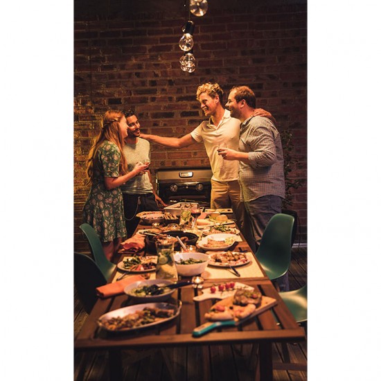 фото Газовый гриль CAMPINGAZ BBQ ATTITUDE 2100 LX