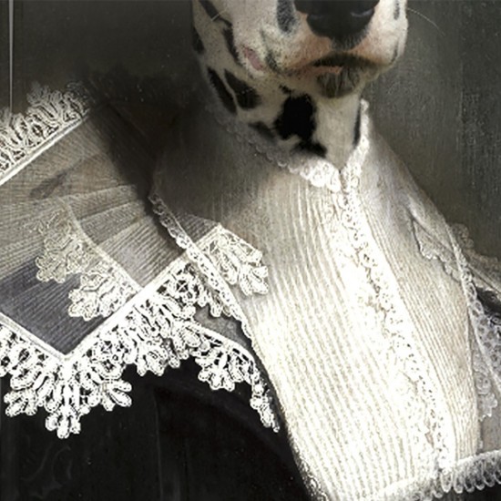 фото 3 Поднос SAPHO