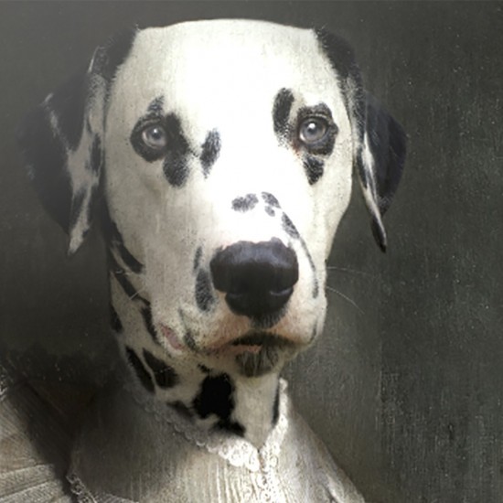 фото 2 Поднос SAPHO