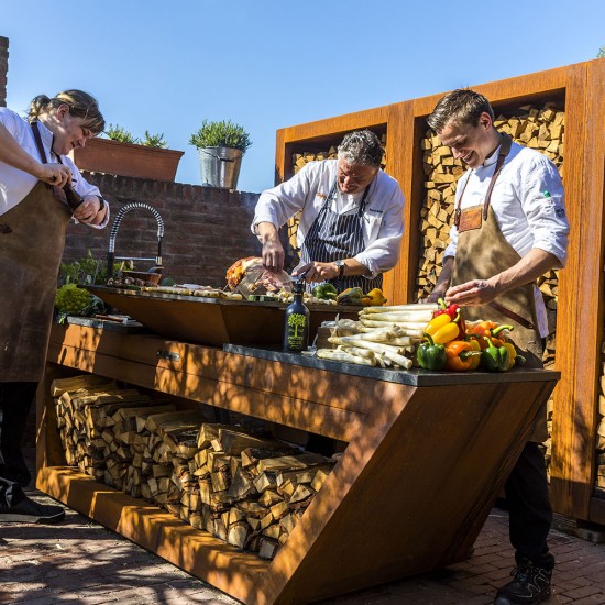 фото 7 Кухня с колёсиками Quadro Premium, коричневая (с системой водоснабжения)