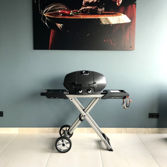 фото 9 Портативный газовый гриль NAPOLEON TRAVELQ PRO285X