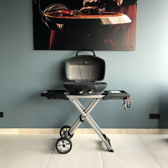 фото 10 Портативный газовый гриль NAPOLEON TRAVELQ PRO285X