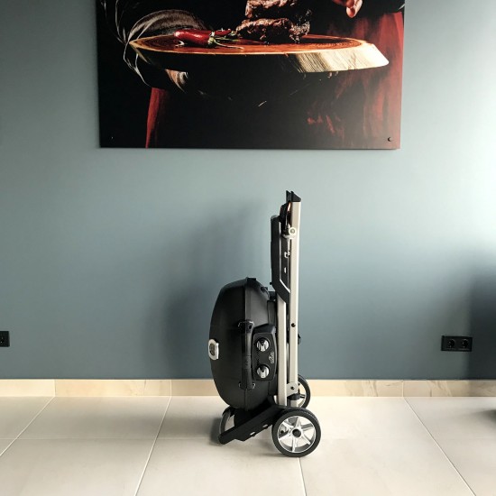 фото 11 Портативный газовый гриль NAPOLEON TRAVELQ PRO285X