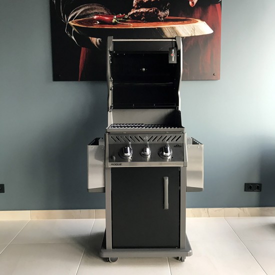 фото 11 Газовый гриль NAPOLEON ROGUE 365SB