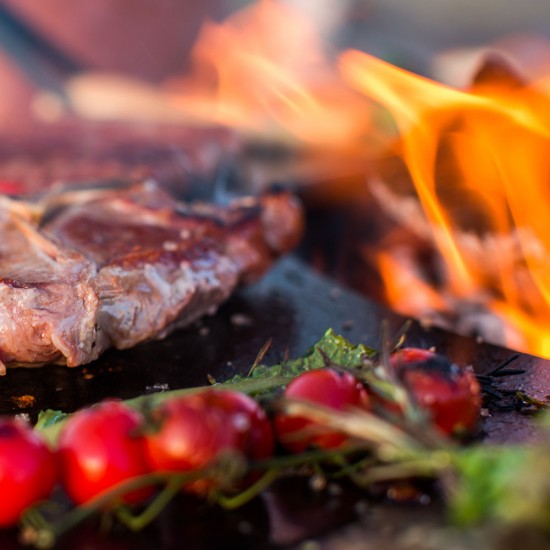 фото 5 Гриль мангал AHOS OLYMPIC 1000 LOW