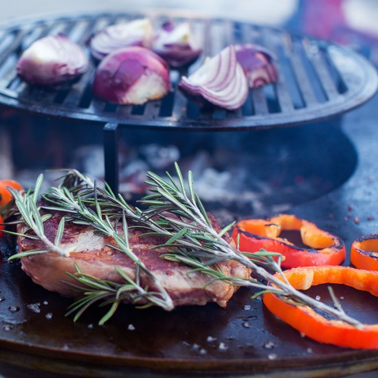 фото 3 Гриль мангал AHOS OLYMPIC 1000