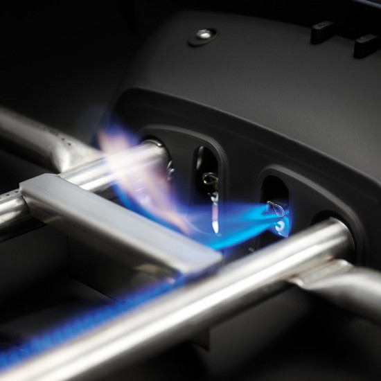 фото 12 Портативный газовый гриль NAPOLEON TRAVELQ PRO285 на подставке