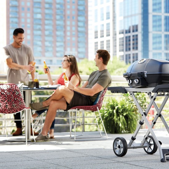 фото 17 Портативный газовый гриль NAPOLEON TRAVELQ PRO285X