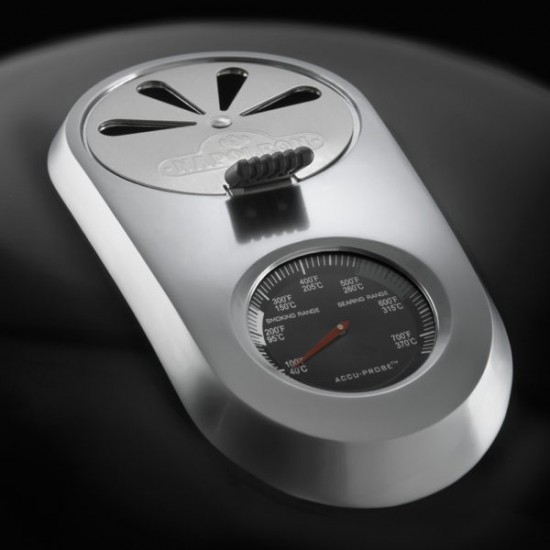 фото 9 Вугільний гриль-коптильня NAPOLEON APOLLO AS200K