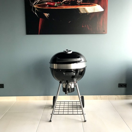 фото 7 Угольный гриль NAPOLEON RODEO PRO фото 7 Угольный гриль NAPOLEON RODEO PRO