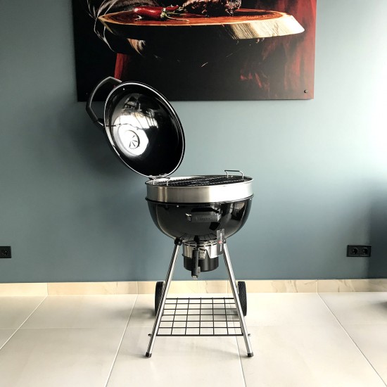 фото 8 Угольный гриль NAPOLEON RODEO PRO фото 8 Угольный гриль NAPOLEON RODEO PRO