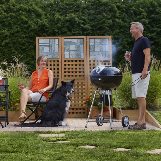 фото 14 Угольный гриль NAPOLEON RODEO