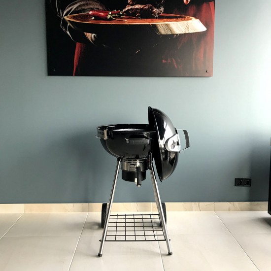 фото 9 Угольный гриль NAPOLEON RODEO