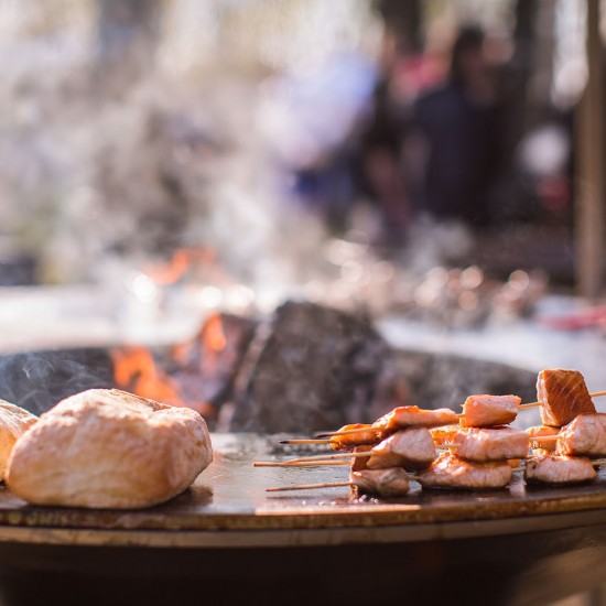 фото 3 Гриль мангал AHOS BIG  